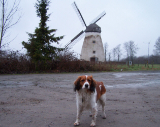 M&uuml;hle
